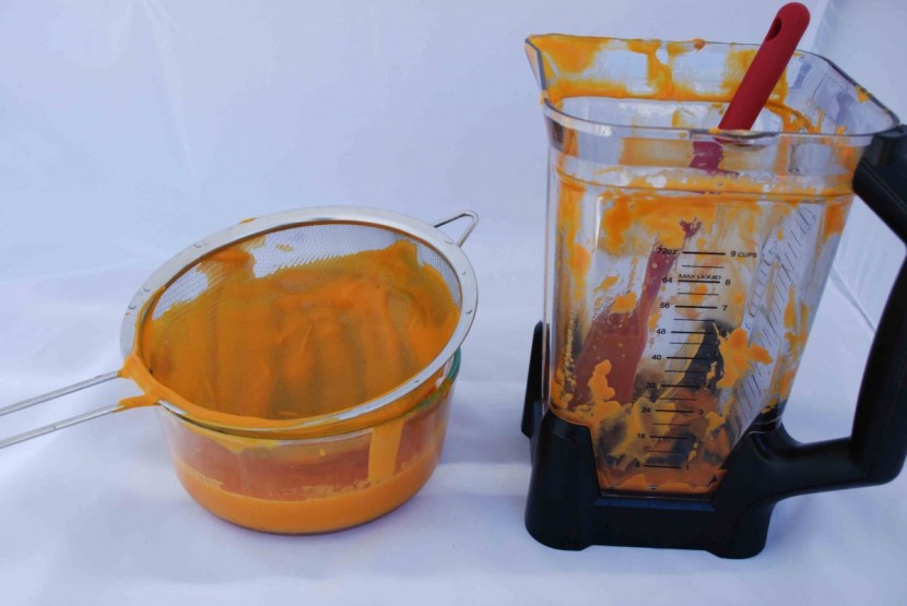 ninja ultima - fibrous carrots were no problem for this blender. it pureed our soup...