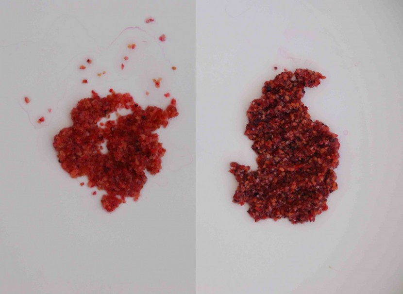 the breville boss - the vitamix (left) had fewer seeds and those that were left were...