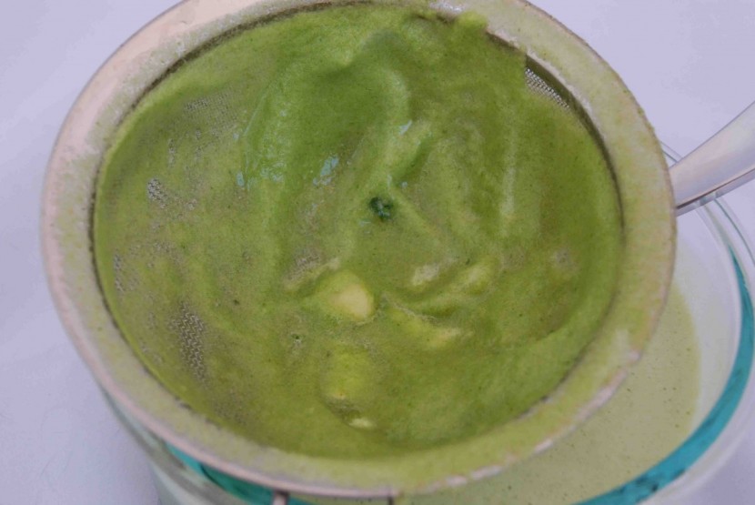 the breville boss - unfortunately, this blender didn't quite puree all of the...