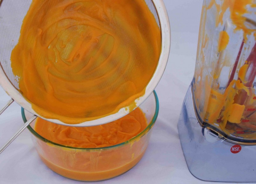 the breville boss - this blender made a really creamy carrot soup, and it has a...