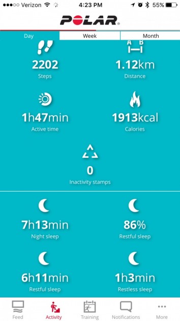 polar a360 - the summary of your basic stats on the polar app.