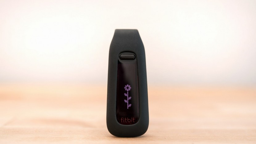 fitbit one - the flower graphic on the one represents progress towards your daily...