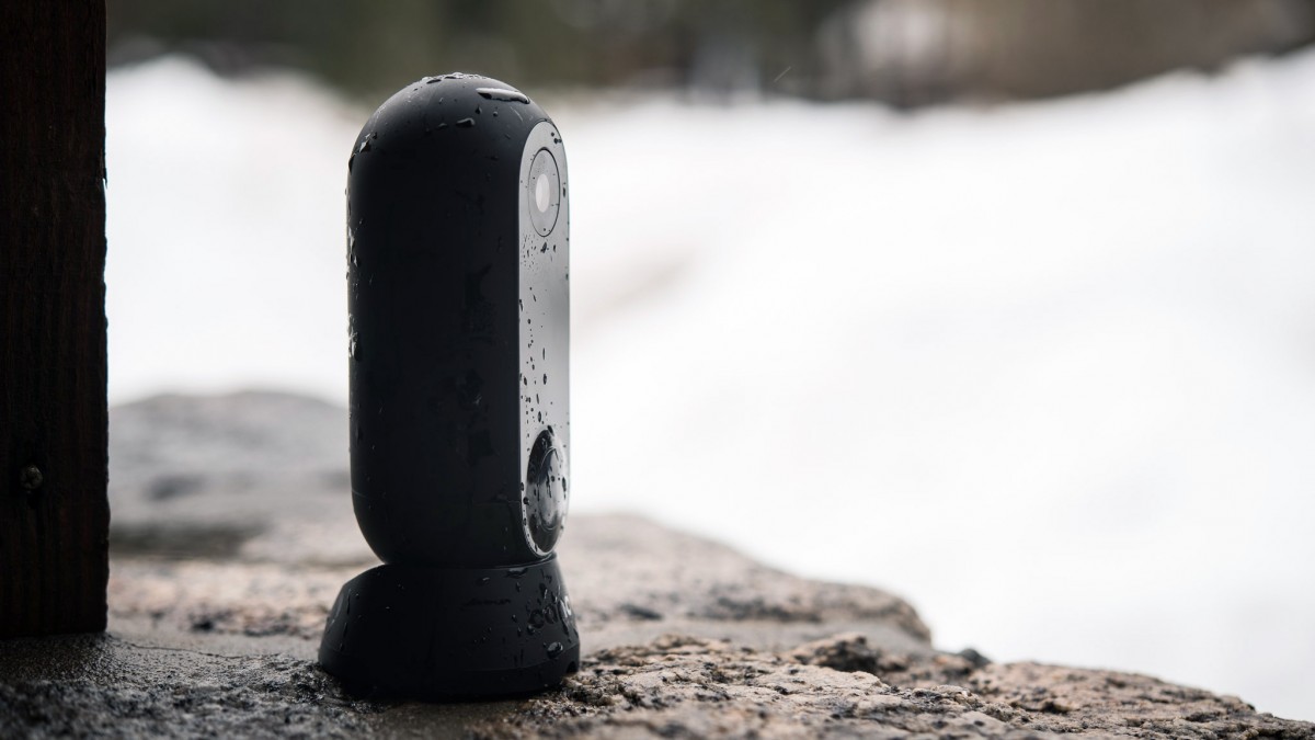 Canary Flex Review