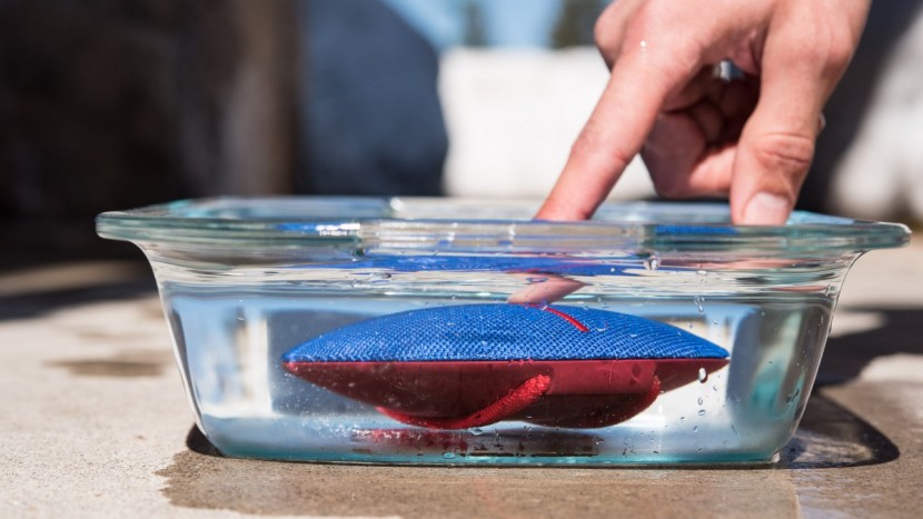 bluetooth speaker - ipx7 models, like the ue roll 2, can survive complete submersion.