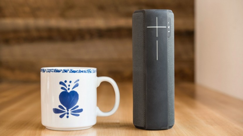 ue boom 2 - the boom 2 is reasonably small and packable.