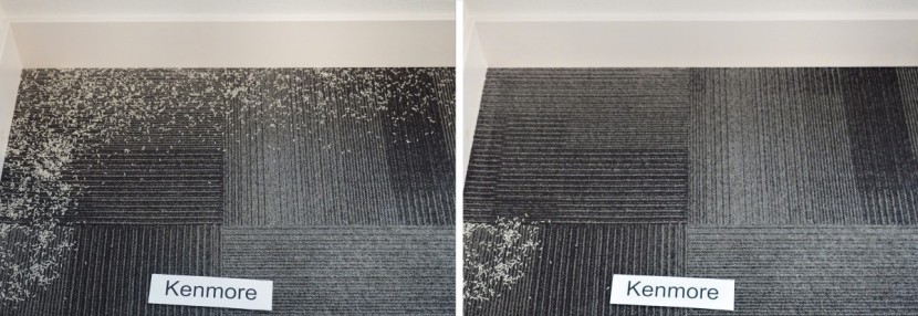 kenmore elite pet friendly - the kenmore did exceptionally well in this test, leaving practically...