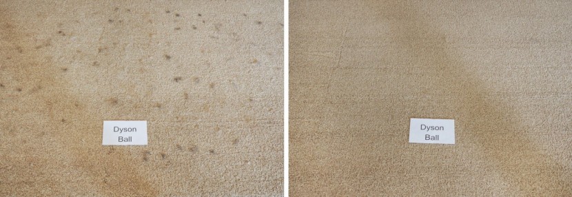 dyson ball animal 2 - this dyson model did very well at collecting pet hair.