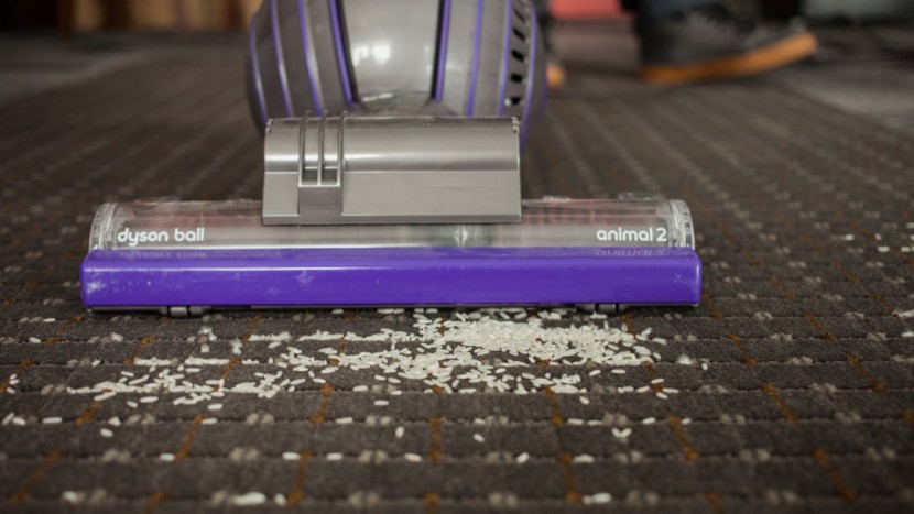 dyson ball animal 2 - this dyson performed just fine, but wasn&#039;t the best.