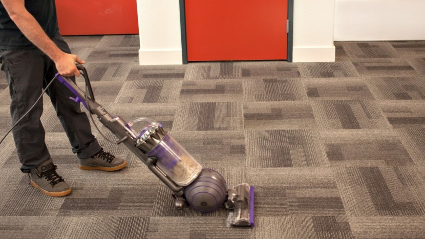 dyson ball animal 2 - the dyson ball animal 2 upright vacuum in use.