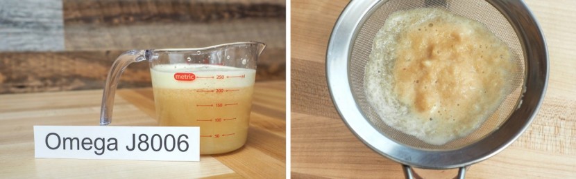 omega j8006 nutrition center - the apple juice produced by the omega was a little on the pulpy side...