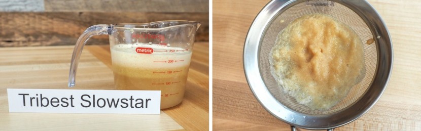 tribest slowstar vertical - the tribest did poorly for apple juice yields.