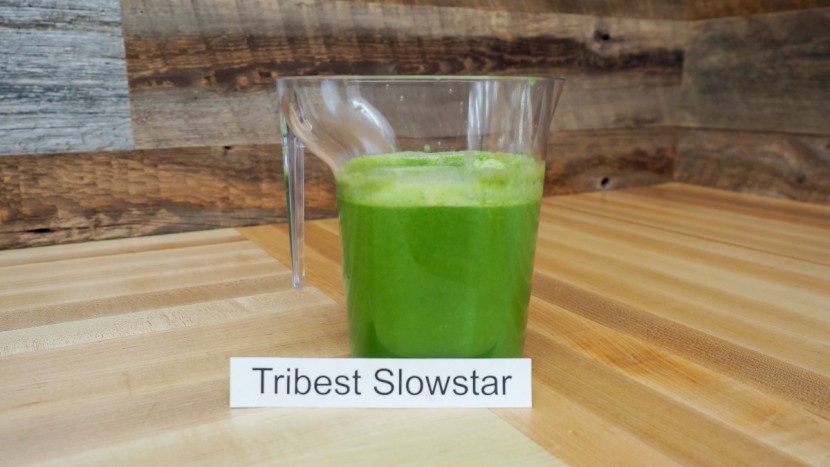 tribest slowstar vertical - the slowstar had better yields of leafy greens over soft and hard...