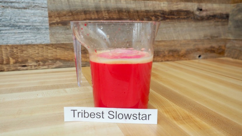 tribest slowstar vertical - the tribest had an even flavor in our &quot;sunset blend&quot; test.