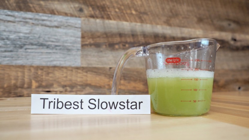 tribest slowstar vertical - the tribest had poor performance for cucumber juice, but made up for...