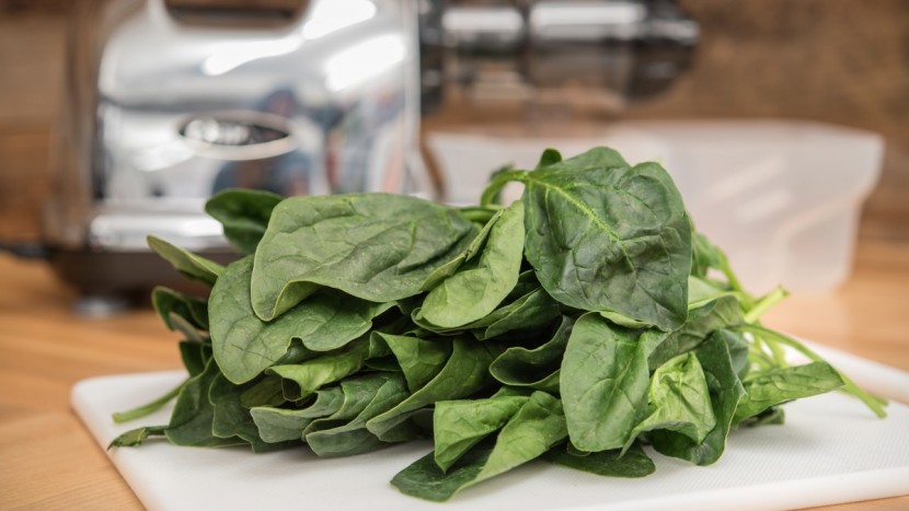 juicer - juicing leafy greens is one of the harder tasks for these products...