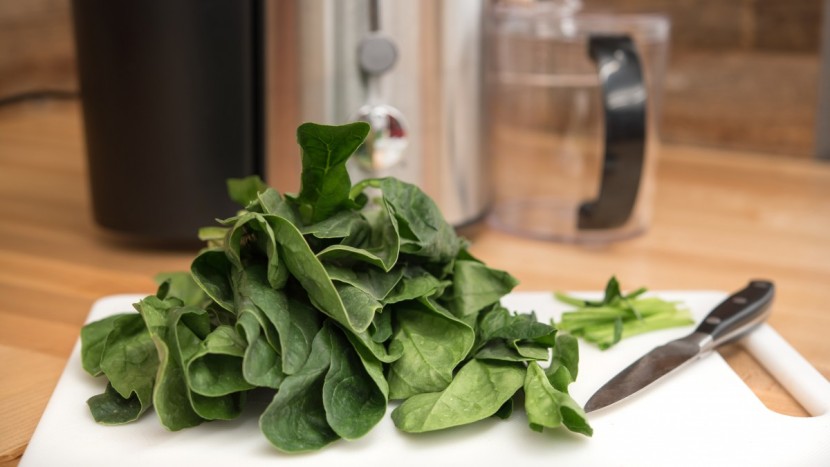 gourmia gj1250 - the gourmia was average at producing juice from leafy greens.