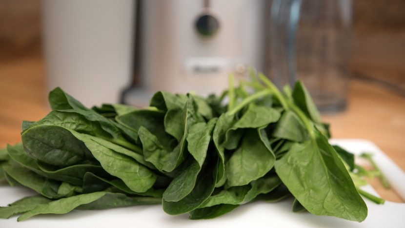 breville juice fountain - the performance of the breville dropped considerably when tasked...