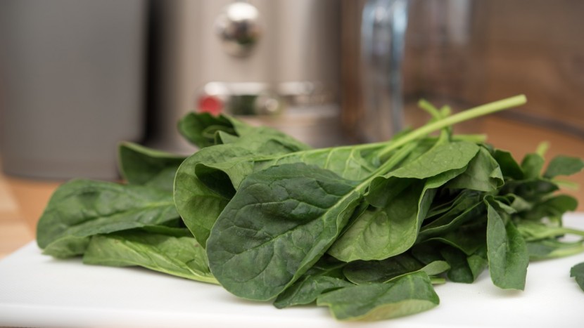 breville juice fountain elite - the elite had poor performance for leafy greens.