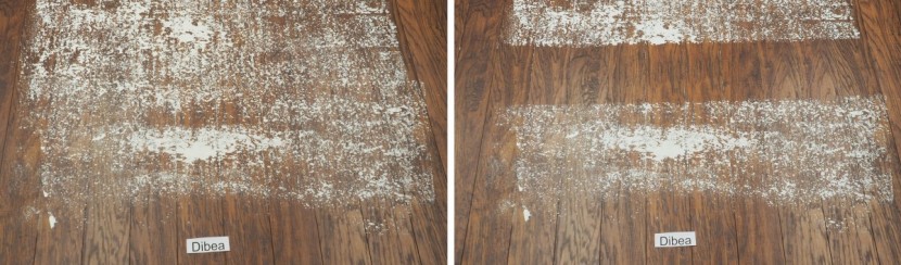 dibea c17 - the dibea picked up flour on the surface well, but not so much in...