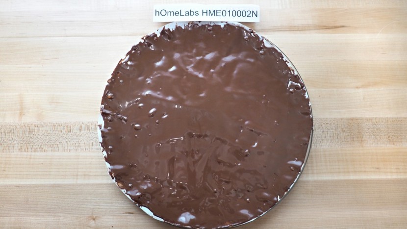 homelabs hme010002n - only a tiny burned spot kept the homelabs from earning a perfect...