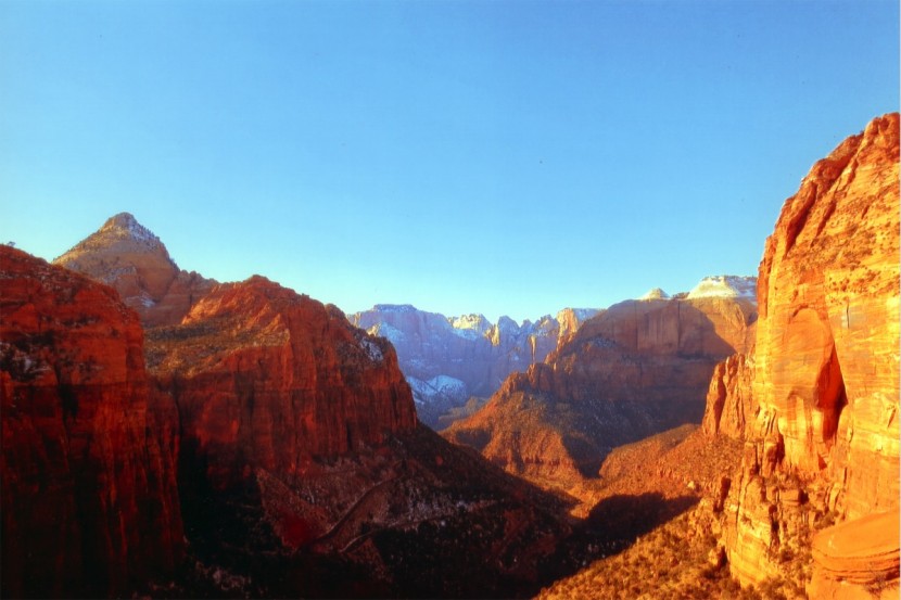 epson perfection v600 - the epson perfection v600 creates great photo scans with a slightly...