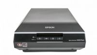 epson perfection v600