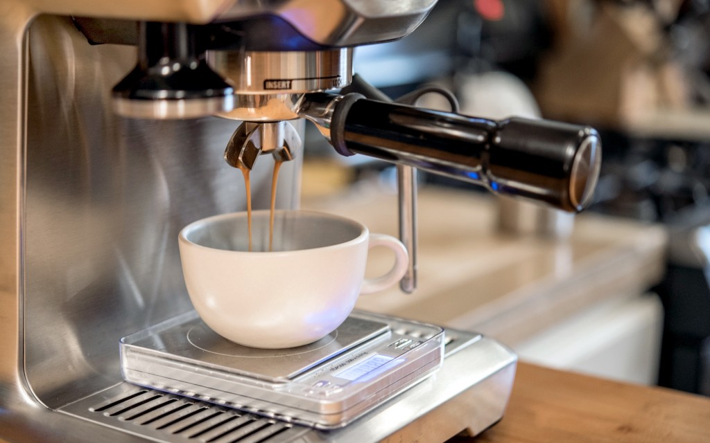 Breville BES810BSS Duo-Temp Pro Espresso Machine – Whole Latte Love