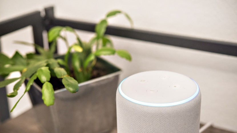 amazon smart plug - any alexa devices seamlessly integrate with the amazon smart plug.