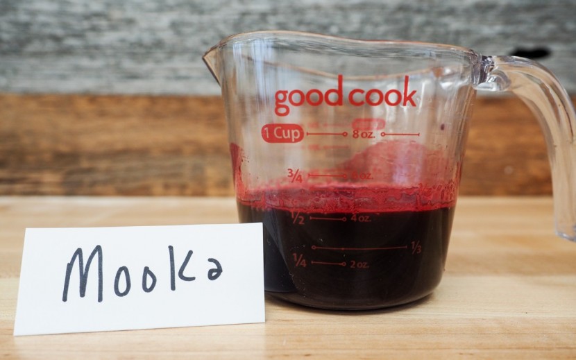 mooka slow masticating - the hard produce juice yield was a bit below average with the mooka.