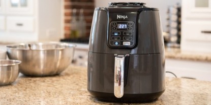 Product photo of Ninja Air Fryer