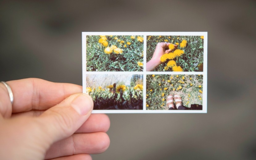 polaroid snap