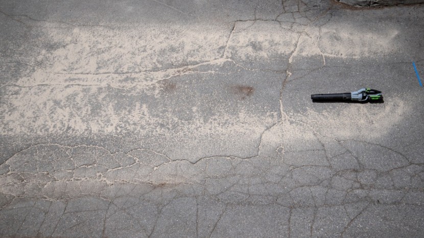 ego power+ 580 cfm - this blower sent sand flying.