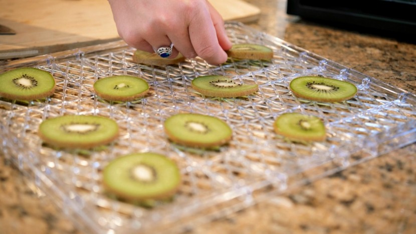 gourmia gfd1950 - the gourmia's trays provide a lot of real estate.