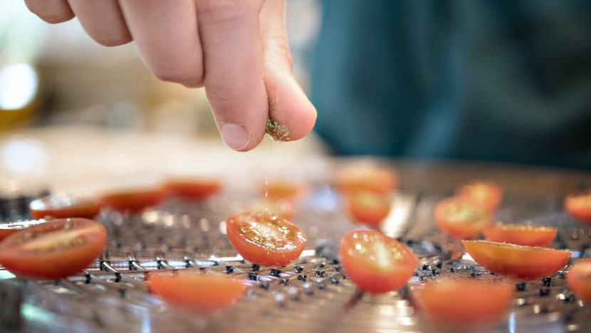 food dehydrator - tomatoes require more moisture than some other dehydrated foods...