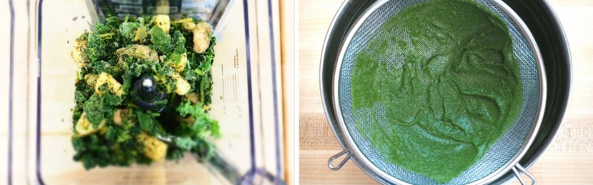 nutri ninja duo blender - a bunch of leafy bits that did not get blended up very well.