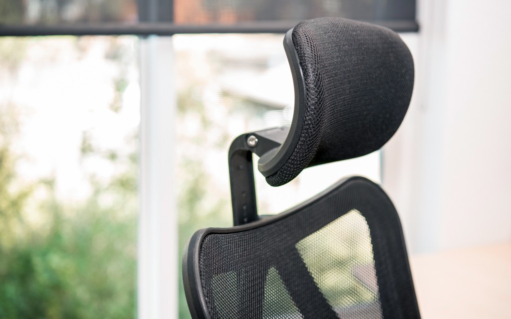 Duramont Ergonomic Office Chair: Adjustable Desk Chair