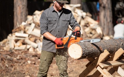 Lead photo for Best Battery Chainsaws