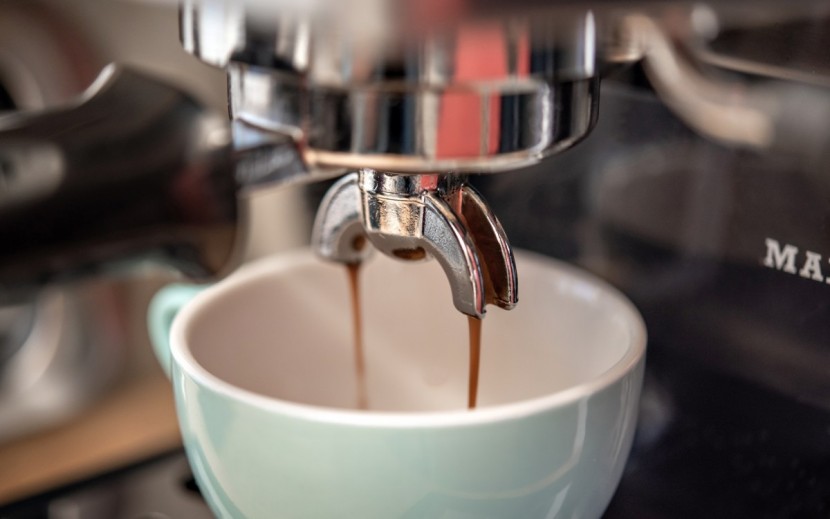 gaggia classic pro - we thoroughly enjoyed shots pulled with the gaggia.