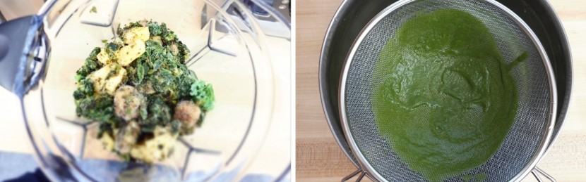 vitamix pro 750 - the greens were no match for the superior blending power of the pro...