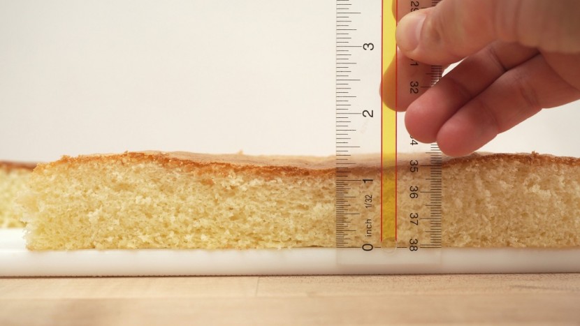 kitchenaid 6-qt. professional bowl-lift - the overall rise of the lemon chiffon sponge and the sag in the...