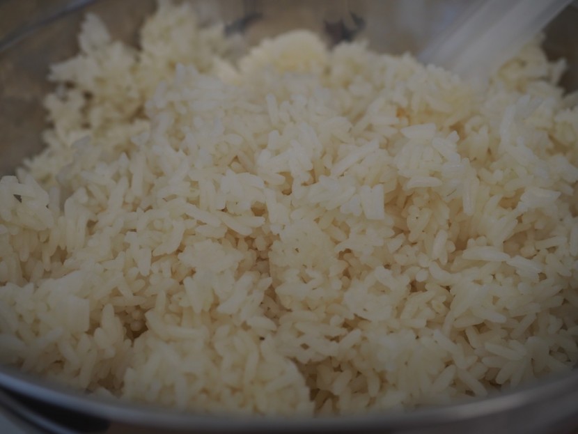 instant pot duo nova - we enjoyed the rice we made in the duo nova.