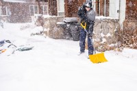 A Light and Solid Performer