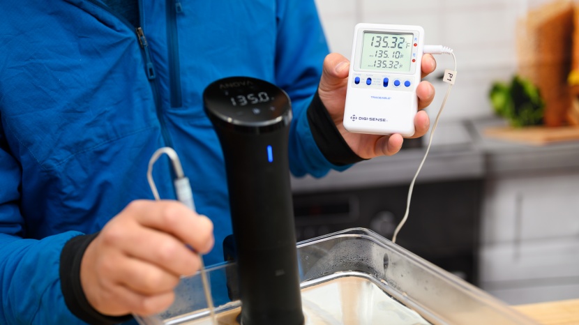 sous vide - some of these products were more accurate than others in our tests.