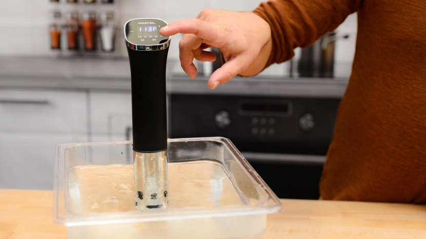 gourmia gsv115 - we didn't love the interface on this machine.