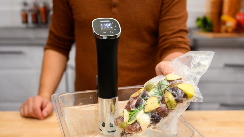 gourmia gsv115 - the gourmia gsv115 received one of the lowest overall scores we have...