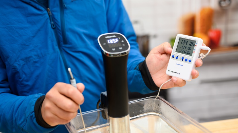 gourmia gsv115 - the gsv115 didn't do the best in our accuracy tests.