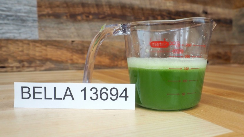 bella 13694 - the bella had the darkest celery juice with slightly below average...