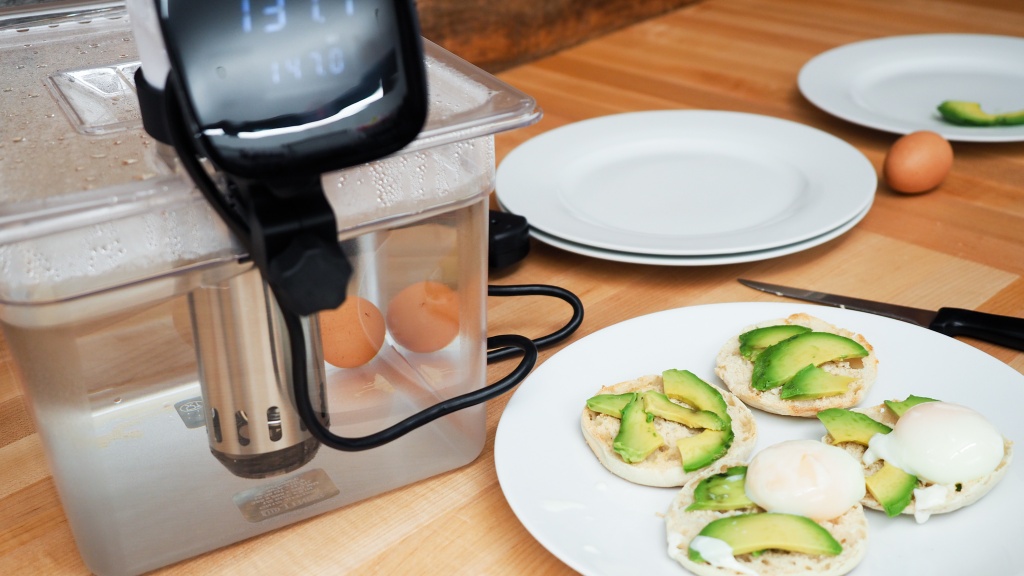 partu sous vide 850w - eggs can be cooked right in their shells with these products.