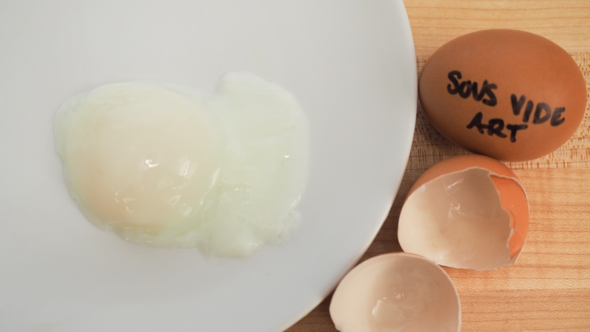 sousvide art 850w immersional circulator - the sousvide art makes it easy to poach perfect eggs for a crowd.