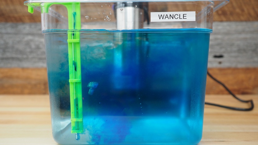 wancle thermal immersion circulator - the wancle moved dye very quickly throughout the container.